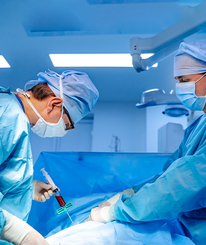 Bone marrow transplantation image